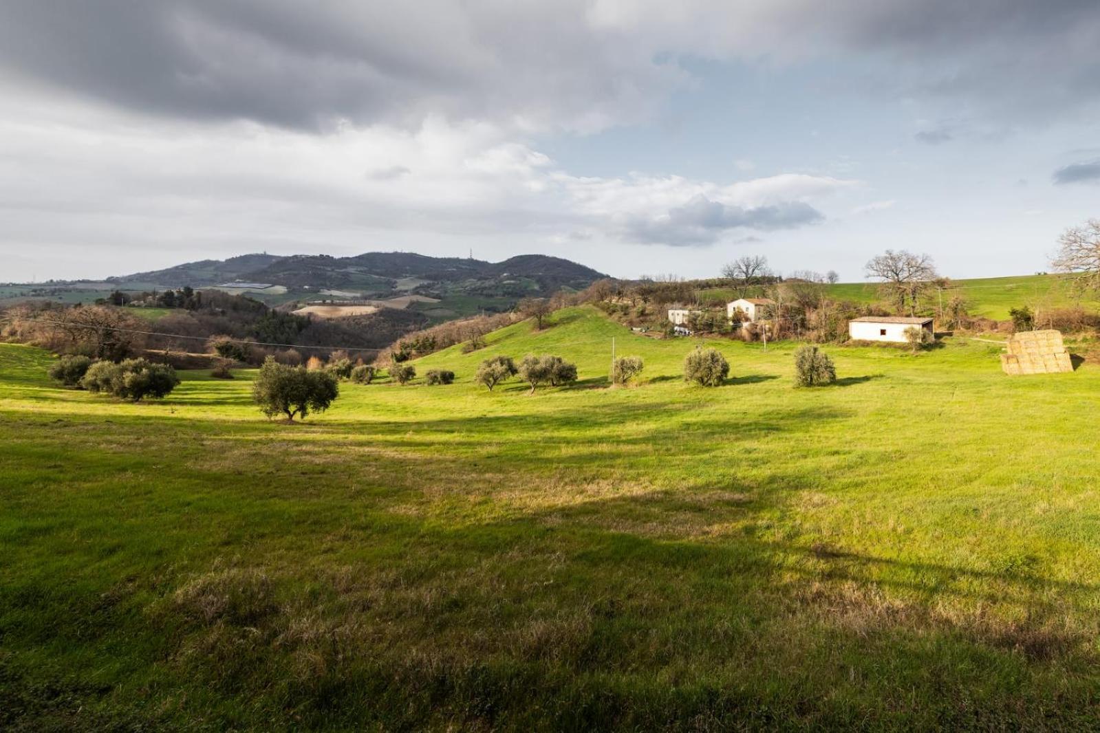 Villa Del Borgo: Fitness Nel Verde Montefelcino Exterior photo